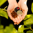 Cápsulas Maestro Espresso Dek Lavazza 10 unidades